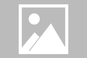 星空体育APP-官宣，郑钦文迎喜讯，喜悦发声，妈妈担心难题解决，李娜祝福